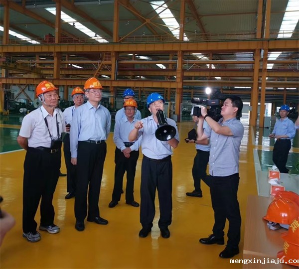 宁波双鹿集团(富邦)电池领导一行莅临我司考察交流 图3
