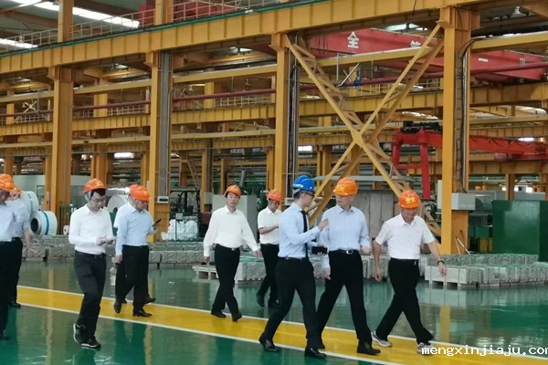 宁波双鹿集团(富邦)电池领导一行莅临我司考察交流